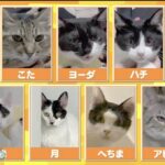 レス1番の画像3