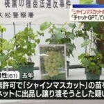 レス1番のリンク先のサムネイル画像