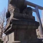 レス1番のリンク先のサムネイル画像