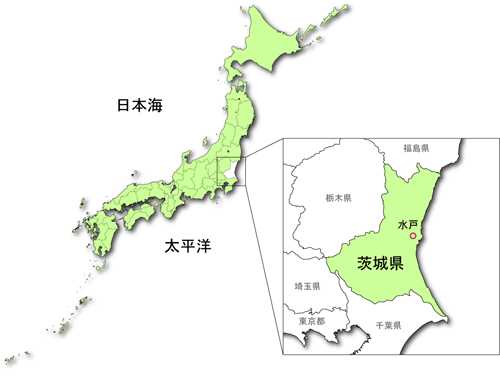 記事サムネイル