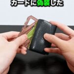 レス1番のリンク先のサムネイル画像