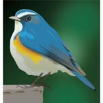レス1番のリンク先のサムネイル画像
