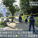 レス1番のリンク先のサムネイル画像